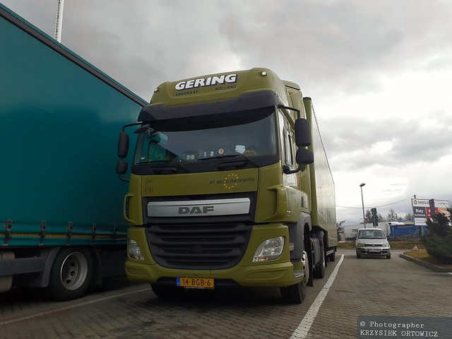 DAF CF GERING (NL)