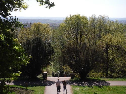 View from top of Terraced Gardens, Castle Wood SWC Short Walk 44 - Oxleas Wood and Shooters Hill (Falconwood Circular)