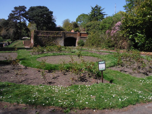 Rose Garden at Site of Jackwood House, Jack Wood SWC Short Walk 44 - Oxleas Wood and Shooters Hill (Falconwood Circular)
