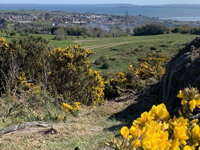 Newtownards and Strangford Lough from Lead Mines