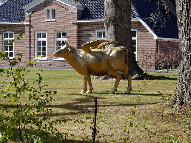 Sacred winged golden cow (N4720)