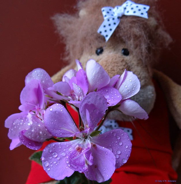 Leoncia y su flor preferida.