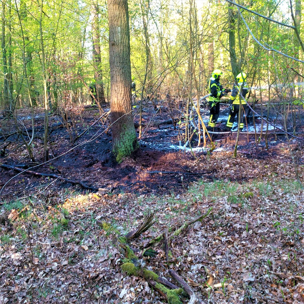 Forstamt Pankow Revier Buch Frühling 2020 Feuer bei uns in Wald