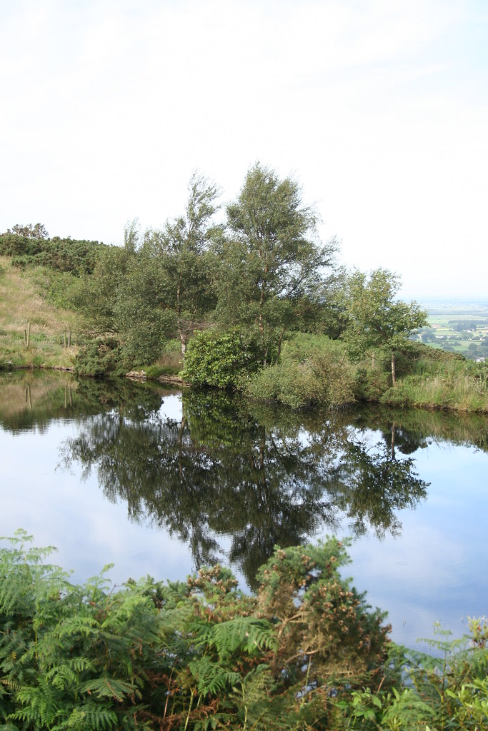 Reflections in pond near Garstang