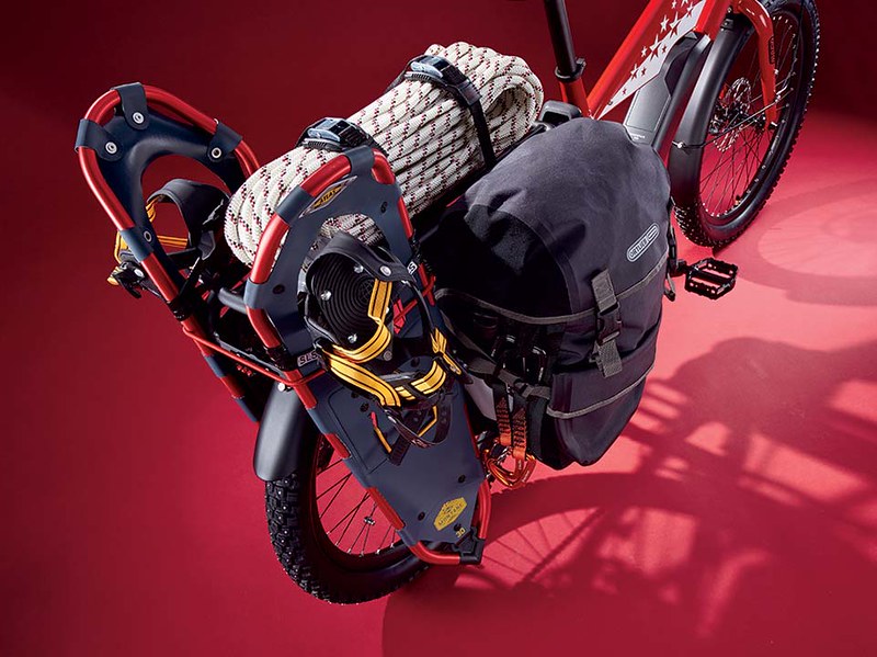 Benno Bikes Boost E Air Zermatt edition Detail Rack Loaded