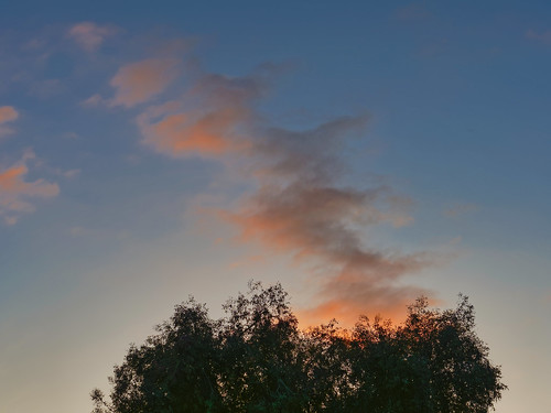 clouds tree sunset steve olympus omd landscape skyscape
