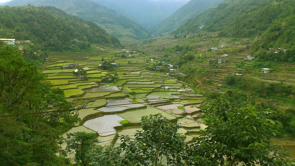 Hapao Rice Terraces