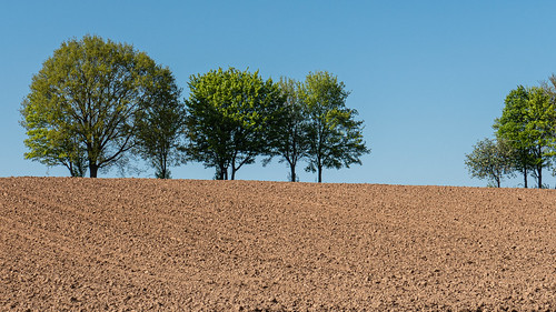douvergenhout limburg merkelbeek nederland thenetherlands zuidlimburg landscape sky tree soil leicadlux6 leica dlux6