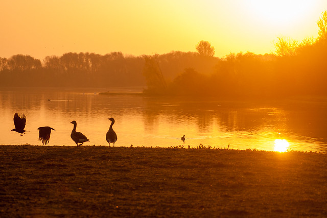 Stunning sunrise at Colwick Country Park  - best engagement photoshoot locations Nottingham