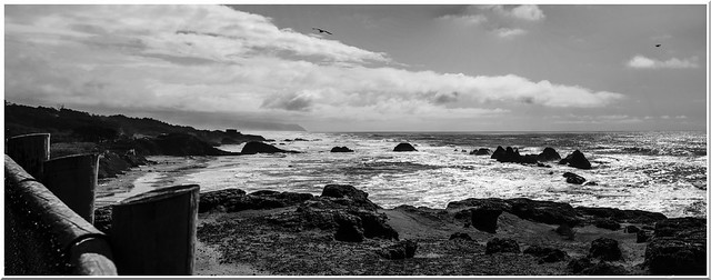 Seal Rock Area of the Oregon Coast