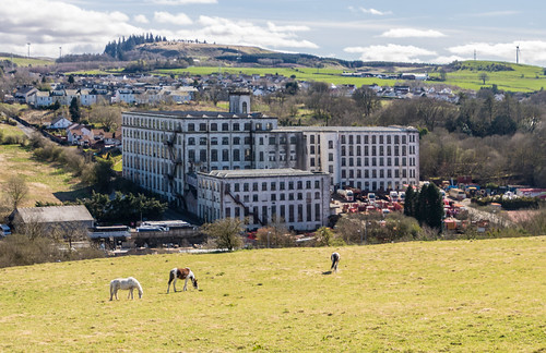 A landscape photo of a factory against a backdrop of a rural village and a tree-topped hill. There are some horses in the foreground.