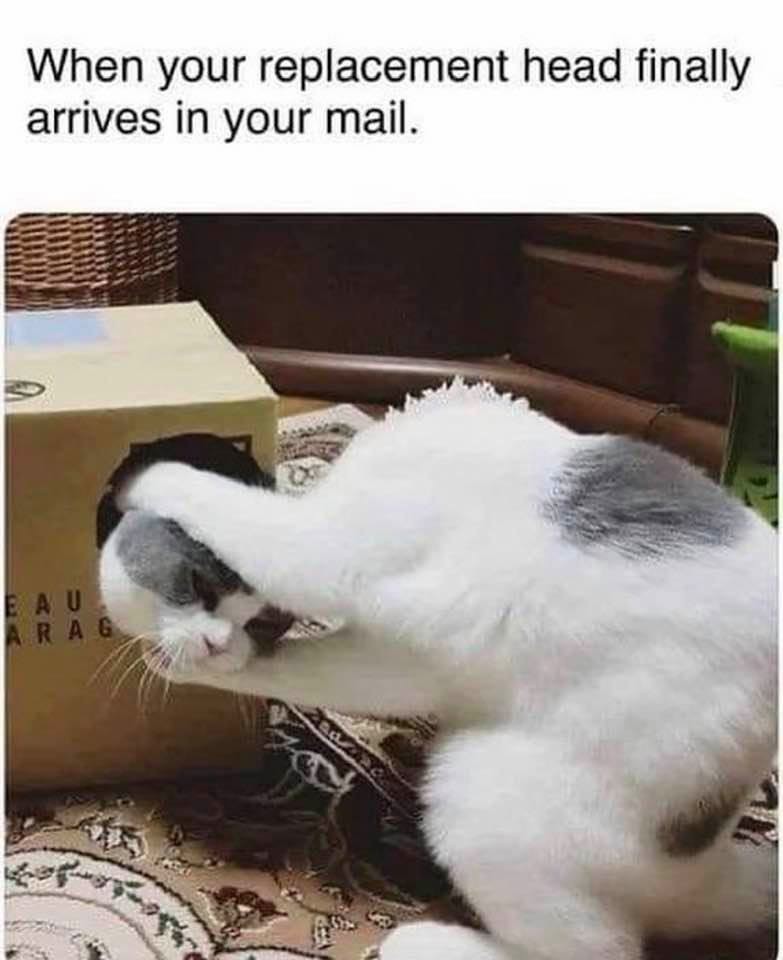 49810100563_bf9155286d_b.jpg