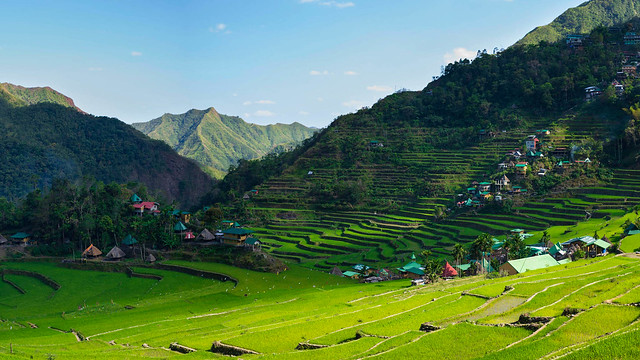 Small village in beautifull ricefields