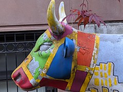 Urban Cow