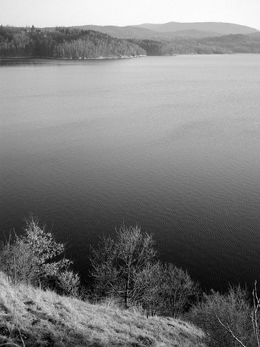hc110 645 120film fujigs645s mediumformat ilfordfp4 film blackandwhite lake trees grass water hills forest landscape dobczyce poland