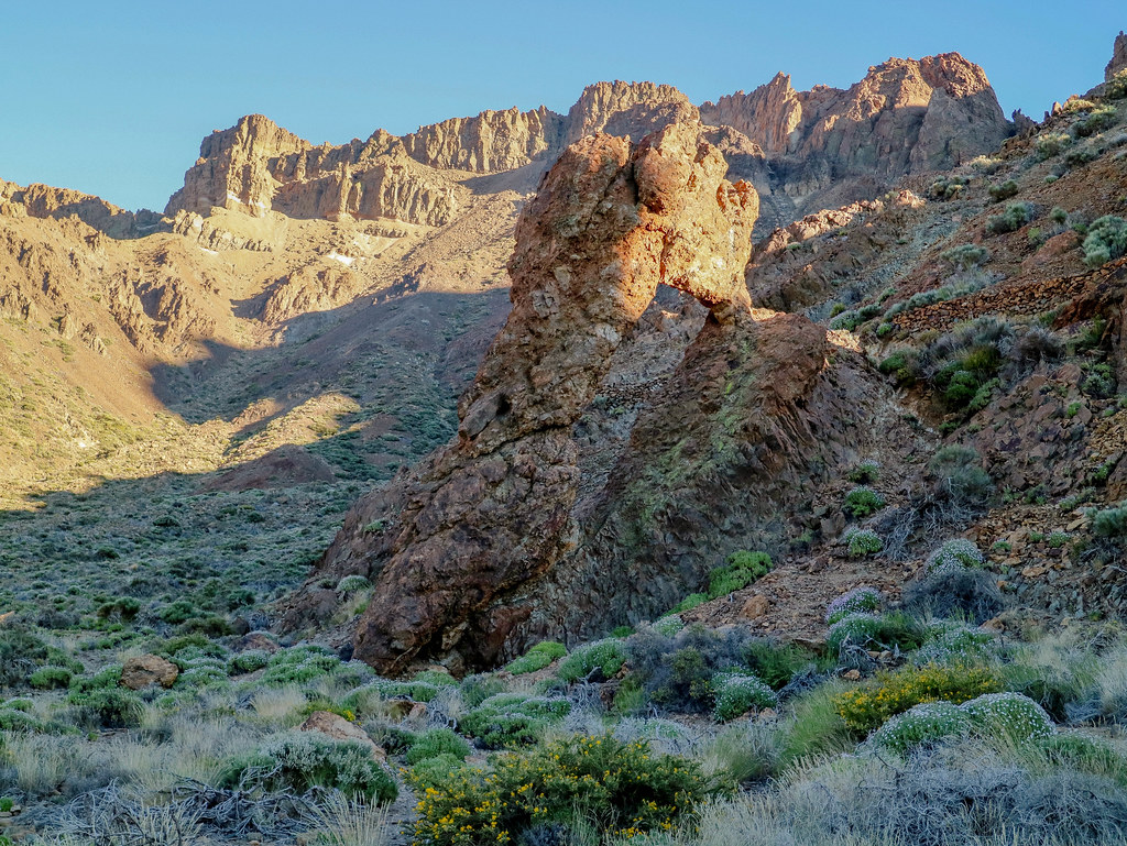 Zapatilla de la Reina en el Parque Nacional del Teide