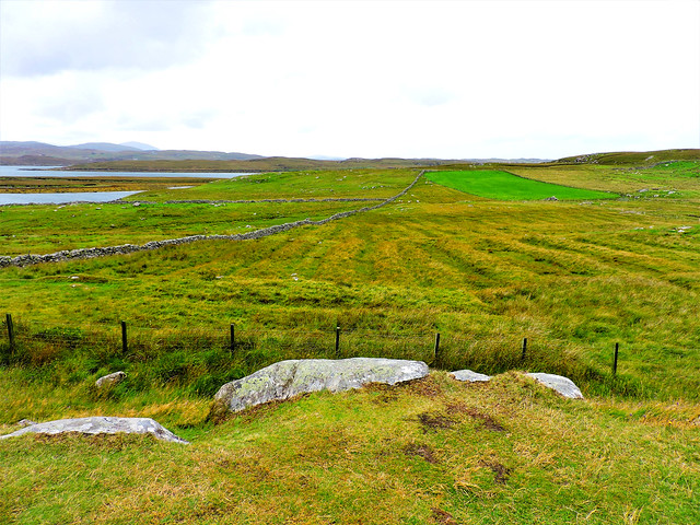 Fields with sheep; stone walls