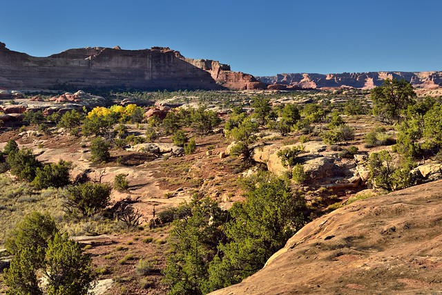 A Varied Setting and Landscape Across Canyonlands National Park (Canyonlands National Park)