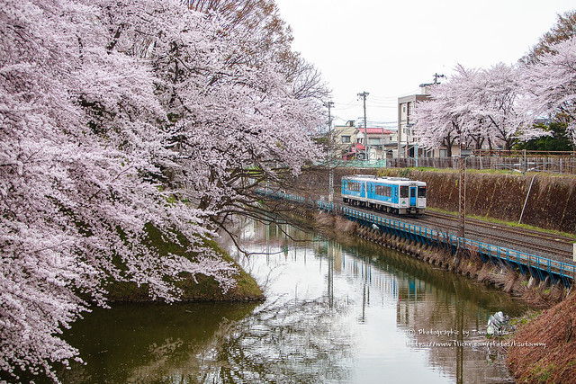 定番場景