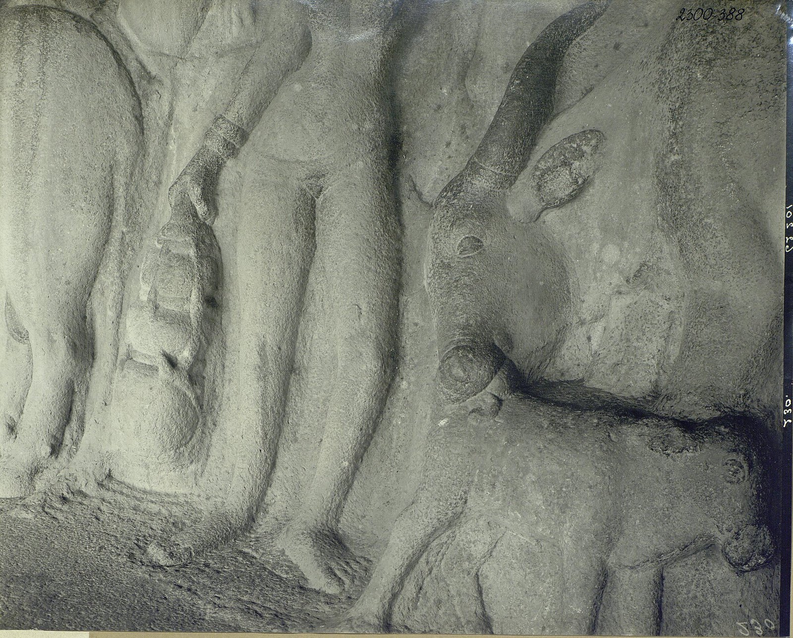 Мамаллапур (деталь рельефа с быком)