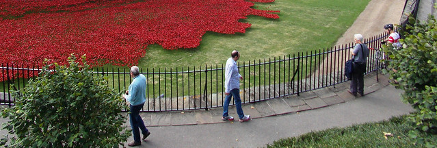 TOWER OF LONDON ENGLAND    POPPY PLANTING  TO REMIND US  OF THE FALLEN OF THE FIRST WORLD WAR.  ONE FOR EVERY SOLDIER THAT FELL.. PEOPLE WALK BY AND SOME STAND TO LOOK AT THE POPPIES  aug 2014 DSCN0793 AUTO