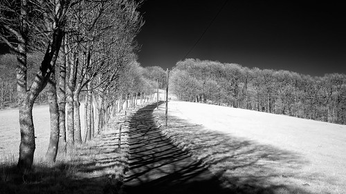 Halballeeschattenwurf | by Thdenz