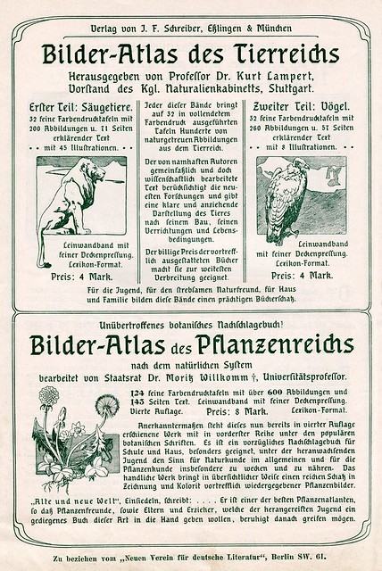 Werbung (9) aus einem Buchkatalog von 1904