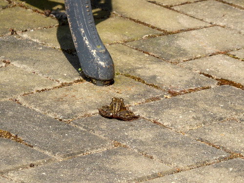 Seeking Shade