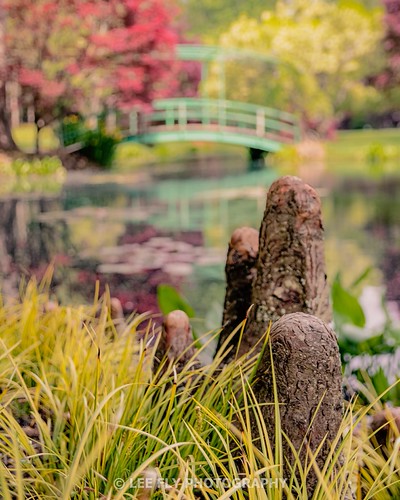 Knees | by Lee.Fly