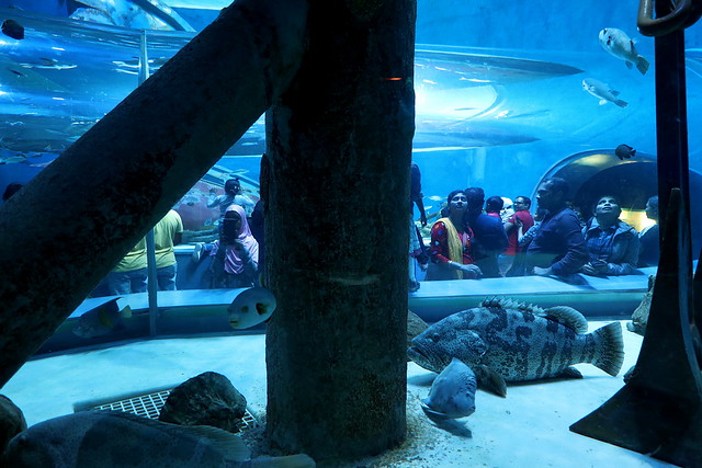 Sharjah  Aquarium UAE