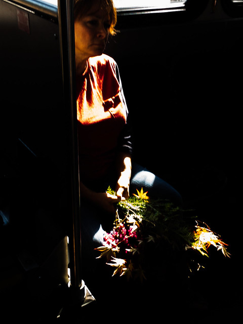 Flowers In The Light