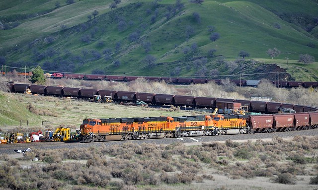A westbound BNSF grain train drops down the hill and eases through the horseshoe curve at Caliente, CA (3)