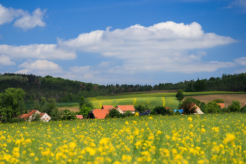 roztocznik dolnoslaskie poland dolnyśląsk dolnośląskie agriculture agricultural rural spring polska