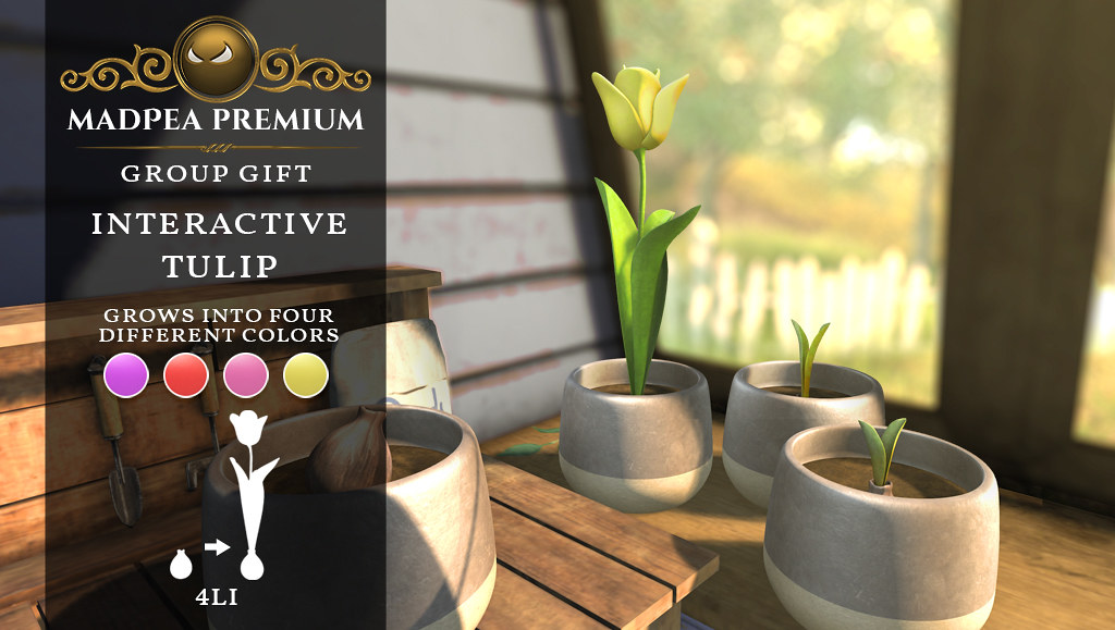 MadPea Premium Group Gift:  Interactive Tulip!