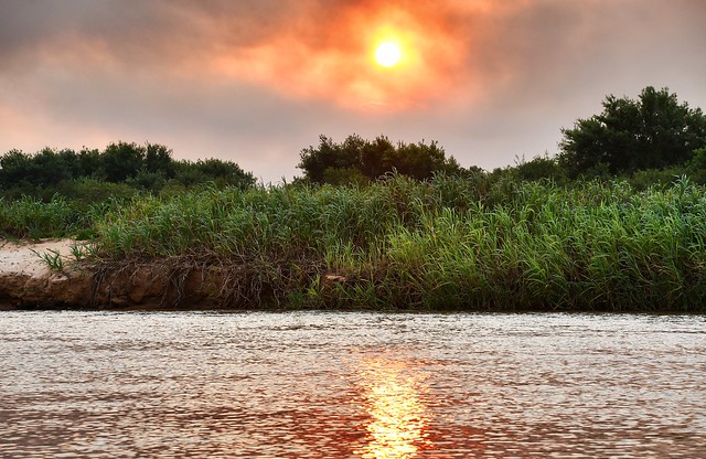 Riverbank grasses and a Pantanal sunset!