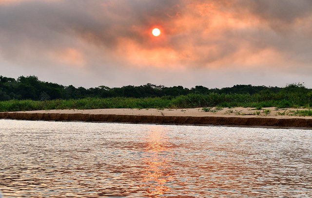 Pantanal riverbank sunset