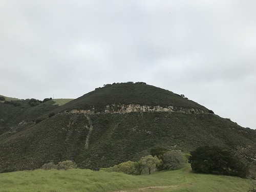 The brushy hillside to climb up to South Gate Road