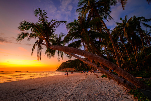 philippines boracay sunset palmtree palmtrees beach ocean romantic travel asia fujifilm whitebeach