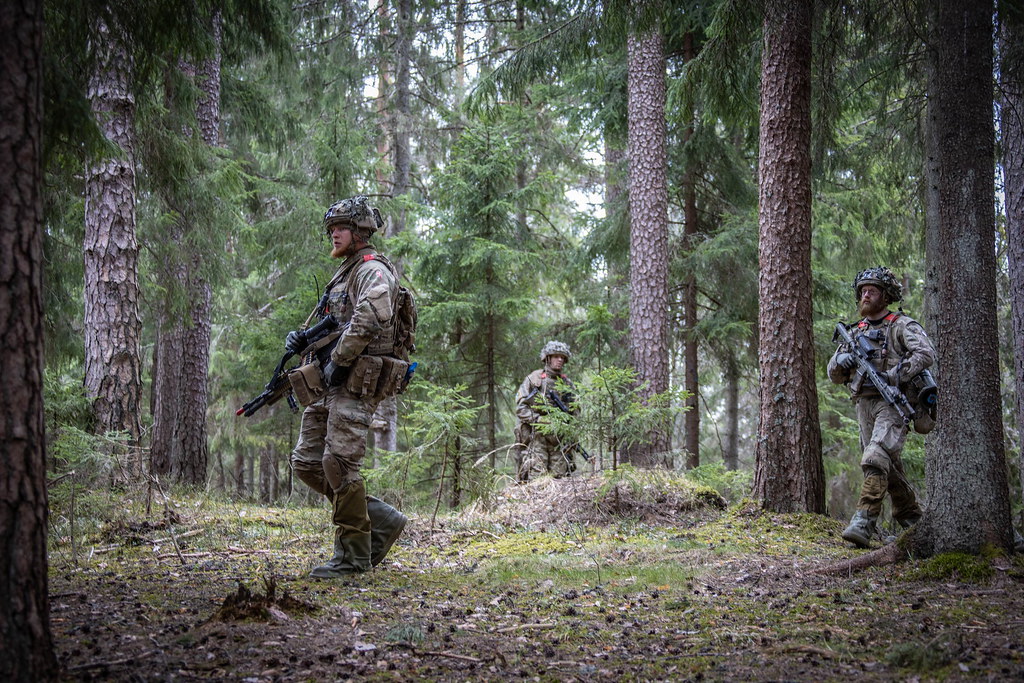 Danish Army | Danish Soldiers with the NATO Enhanced Forward… | Flickr