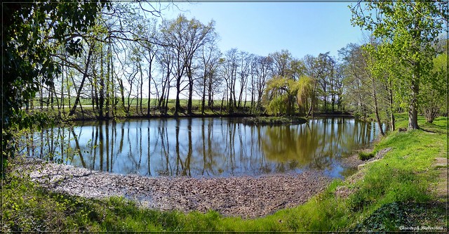 Teich im Gutspark Dallwitz