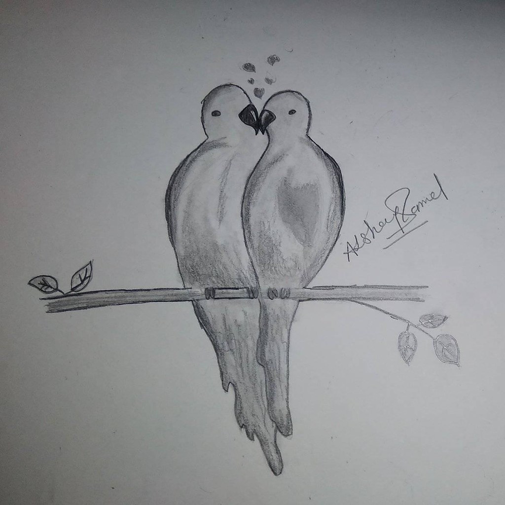 How to draw two birds in love step by step (very easy) | Love birds drawing,  Oil pastel art, Save water poster drawing
