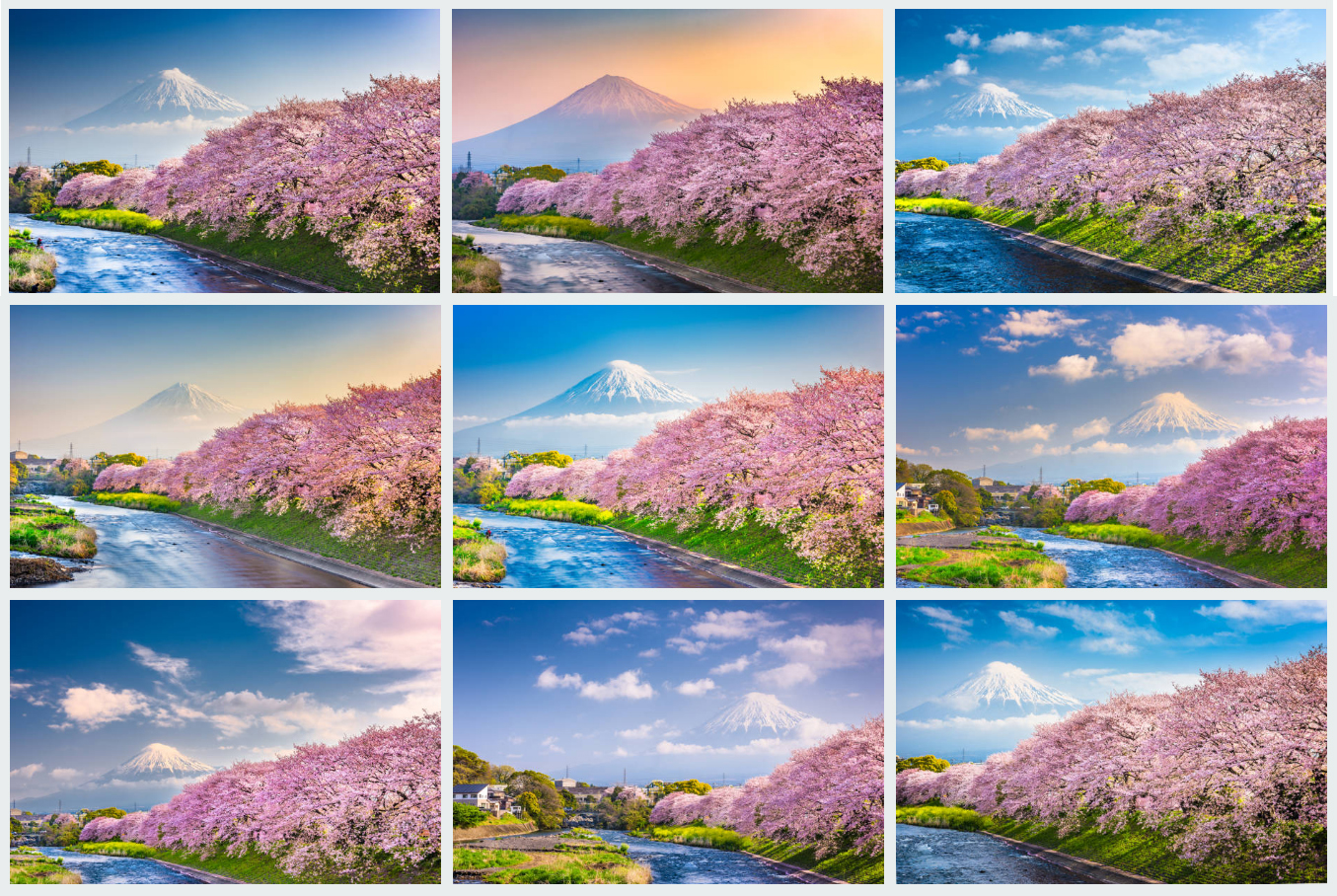 Các mẫu phong cảnh đẹp núi Phú Sỹ hoa anh đào nhật bản
