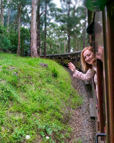 австралия australia melbourne мельбурн пейзаж landscape паровоз locomotive puffer railway железнаядорога лес forest dmilokt