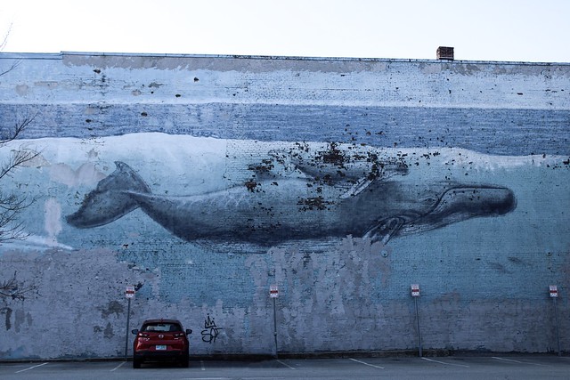 The Whaling Wall