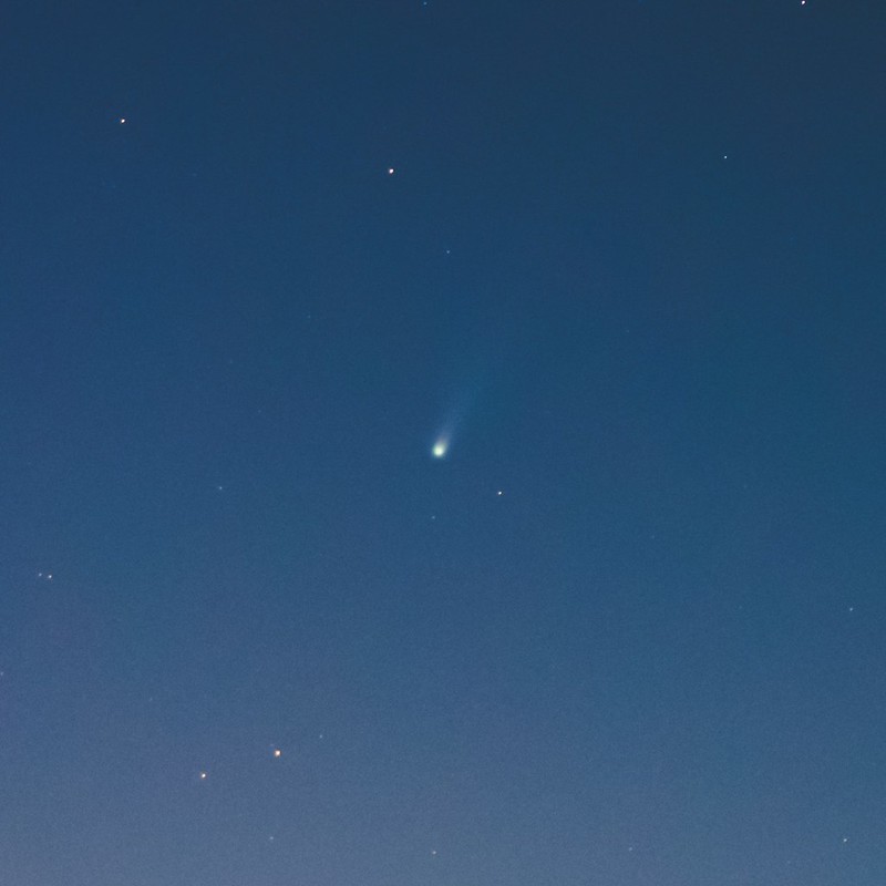 アイソン彗星 (C/2012 S1 (ISON)) (2013/11/21 05:23) (拡大)