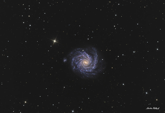 NGC 1232 HaLRGB