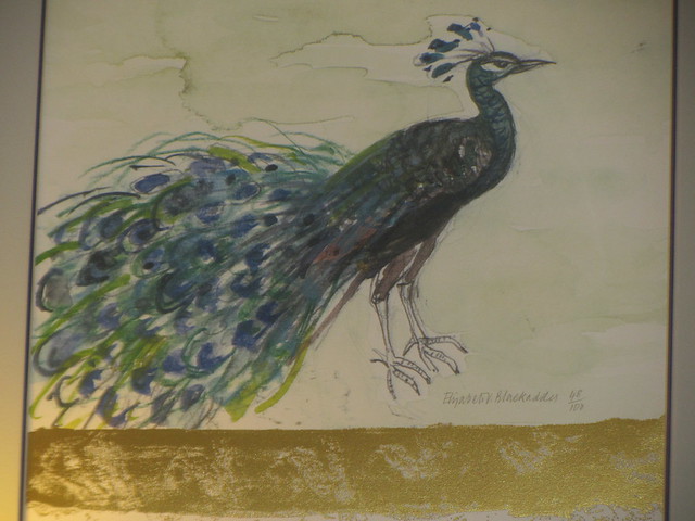 Peacock print by Elizabeth Blackadder