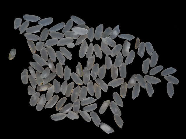 Rices on the black background isolated