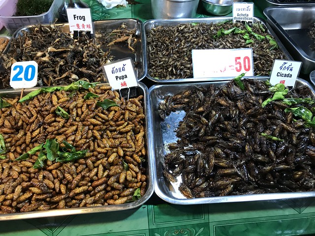 And how can a Thai street food market possibly not have fried bugs?