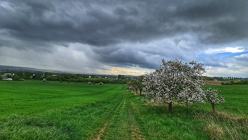 landscape agriculture fieldroad fieldpath appletrees meadow darkclouds nordhessen hofgeismar